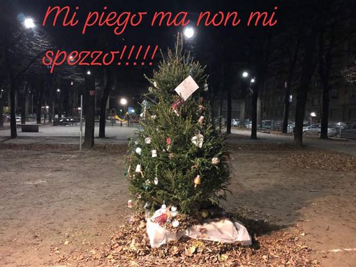 Vandalizzato l'albero di Natale dei giardini Alimonda a Torino