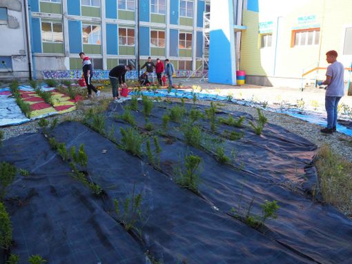 Vandalizzato il giardino degli studenti dell’Alberti-Porro di Pinerolo