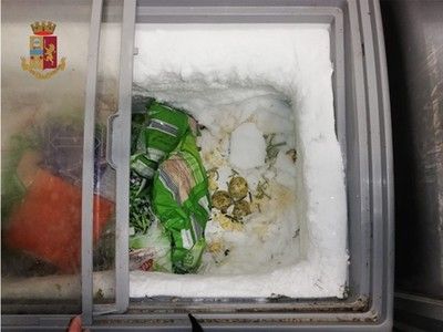 L'allarme della Procura di Torino: &quot;Grave abrogare legge su reati alimentari&quot;