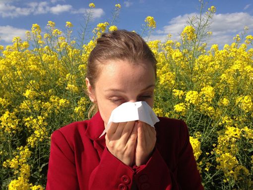 Test allergie Test allergie