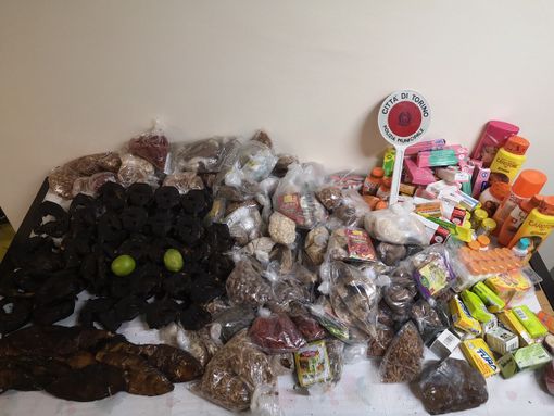 Lotta all'abusivismo a Porta Palazzo: sequestrati oltre 100 chili di prodotti Lotta all'abusivismo a Porta Palazzo: sequestrati oltre 100 chili di prodotti