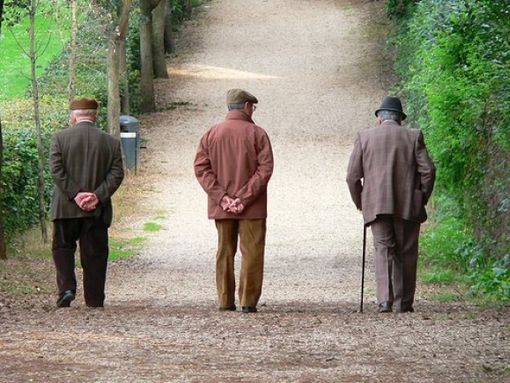 In Piemonte in aumento i casi di Alzheimer e Parkinson: oltre 400 mila gli anziani colpiti In Piemonte in aumento i casi di Alzheimer e Parkinson: oltre 400 mila gli anziani colpiti