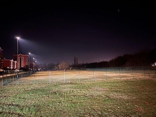 area cani notturna a nichelino