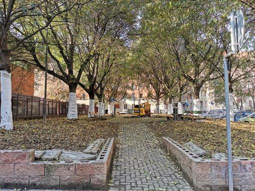 L'area Parri si rinnova: area cani pronta entro fine anno, in arrivo il bando per il calcetto