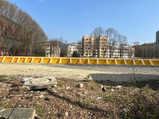 Domenica "Torino camminabile", per riscoprire la bellezza della città. A piedi Domenica "Torino camminabile", per riscoprire la bellezza della città. A piedi