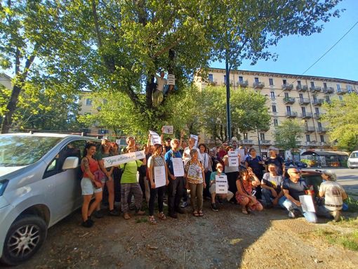Attivisti a difesa degli alberi di Corso Belgio Attivisti a difesa degli alberi di Corso Belgio
