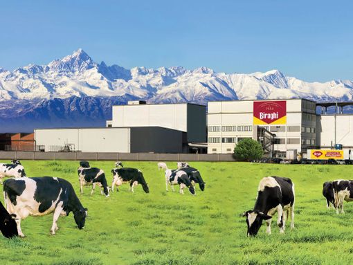 stabilimento di Biraghi con mucche al pascolo stabilimento di Biraghi con mucche al pascolo