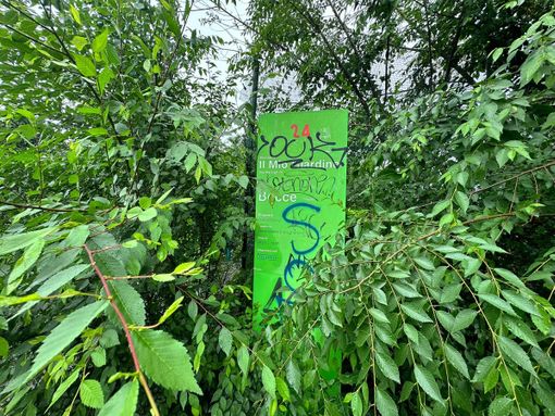 bocciofila il mio giardino bocciofila il mio giardino