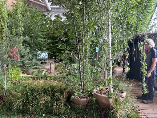 bosco degli scrittori