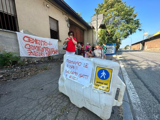 presidio pro ricci via druento presidio pro ricci via druento