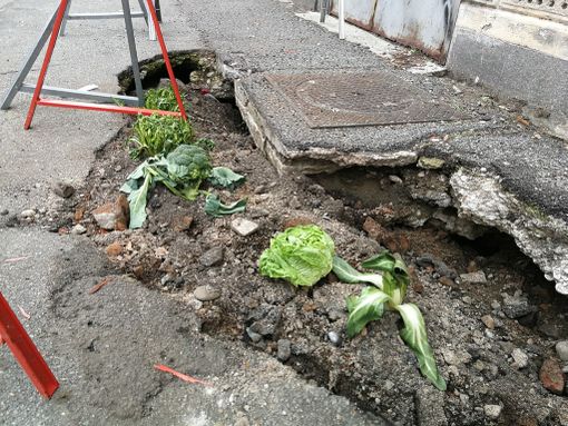 Ad Aurora la buca “storica” diventa un orto