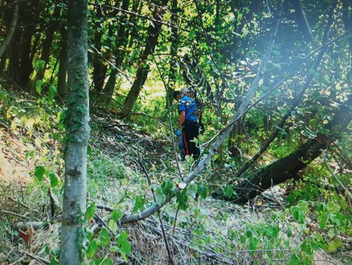 foto di archivio foto di archivio