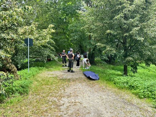 vigili del fuoco ricerca nel po