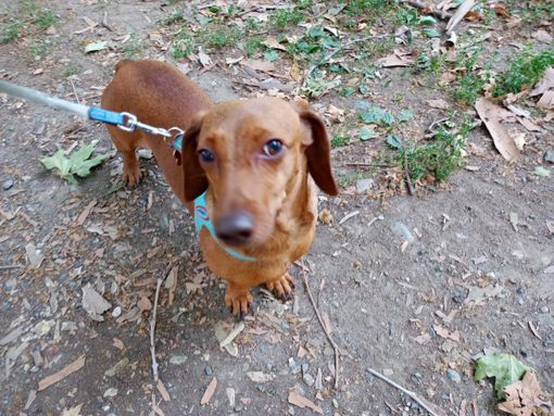 Immagine di archivio Immagine di archivio