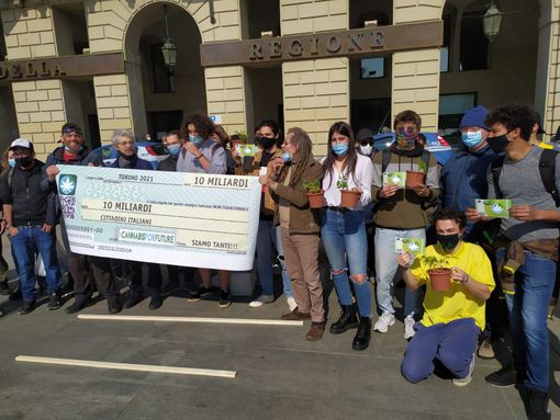 cannabis for future cannabis for future