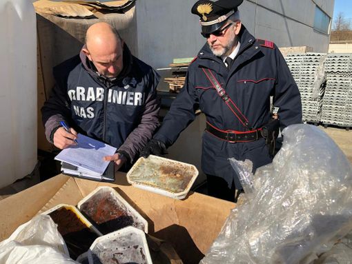 Alimenti scaduti e invasi dai parassiti: sigilli a un intero capannone pieno di cibo [FOTO e VIDEO]