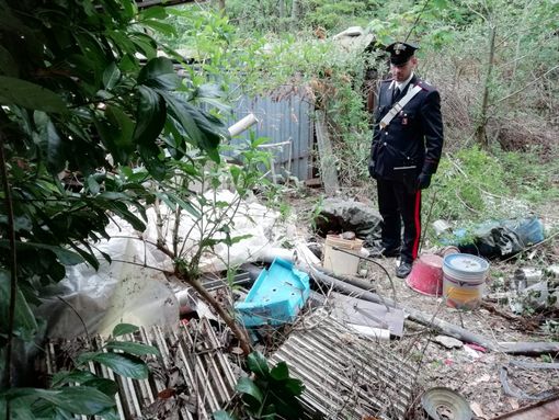 Il giardino vicino a casa era diventato una discarica di rifiuti pericolosi: denunciata una 72enne