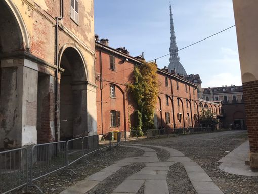 cavallerizza reale