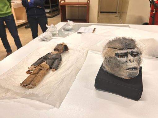 caveau Museo Cinema caveau Museo Cinema