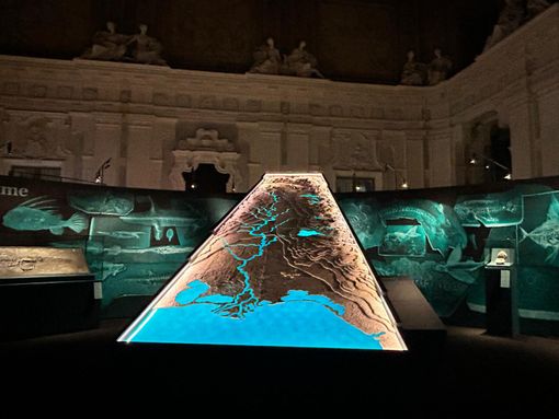 Dai delfini alla plastica, come è cambiato il Fiume Po: a Palazzo Madama apre la mostra Change. Ieri, oggi, domani