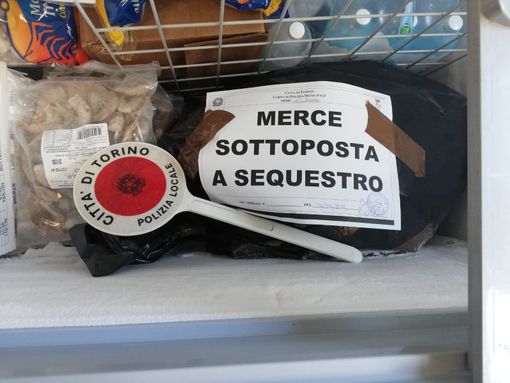 cibo mal conservato