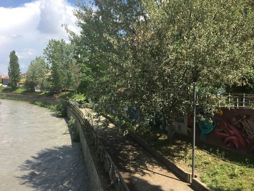 La Circoscrizione 4: “Più attenzione per la ciclabile dell'area ex Paracchi”
