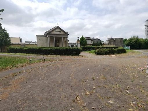 Alberi abbattuti al cimitero di Nichelino, i Verdi insorgono: "Inaccettabile" Alberi abbattuti al cimitero di Nichelino, i Verdi insorgono: "Inaccettabile"