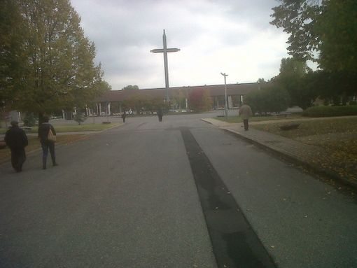 Nella variante al piano regolatore ci sarà spazio per il primo cimitero per animali a Torino Nella variante al piano regolatore ci sarà spazio per il primo cimitero per animali a Torino