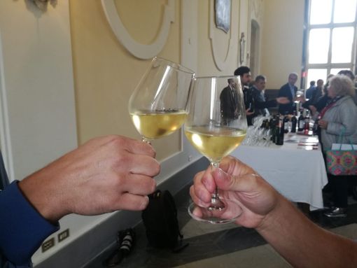 Il vino prende casa in centro città. E se nascesse un vigneto in piazzale Valdo Fusi?