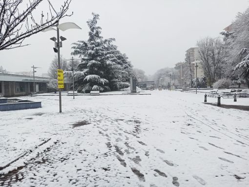 Presentato il Rendiconto nivometrico 2019-2020 Presentato il Rendiconto nivometrico 2019-2020