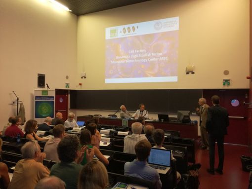 Lotta ai tumori, il Piemonte "scopre" le CAR-T Cells che "addestrano" il sistema immunitario [VIDEO]