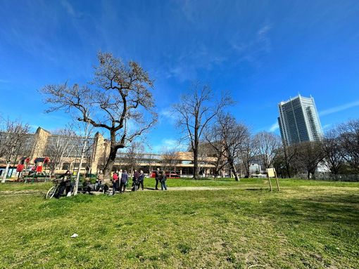 Esselunga si mangia il giardino pubblico, l'appello dei torinesi al sindaco: "Fermi il progetto" Esselunga si mangia il giardino pubblico, l'appello dei torinesi al sindaco: "Fermi il progetto"