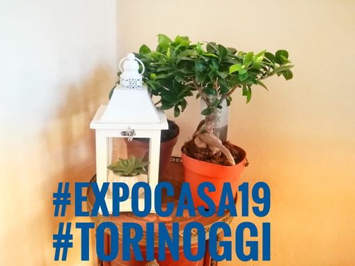 Partecipa al contest “ExpoCasa19”: sono disponibili 30 ingressi gratuiti per la fiera