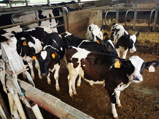 Nominato il nuovo Consiglio di Amministrazione della cooperativa Piemonte Latte