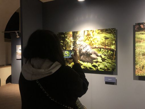 Le foto di Steve McCurry alla Palazzina di Caccia di Stupinigi