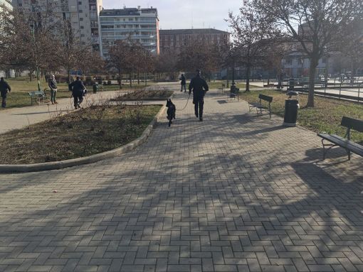Giardini Madre Teresa, i carabinieri trovano hashish e marijuana