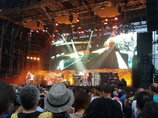 Il virus che spegne la musica: Torino e provincia si preparano a un'estate senza concerti Il virus che spegne la musica: Torino e provincia si preparano a un'estate senza concerti