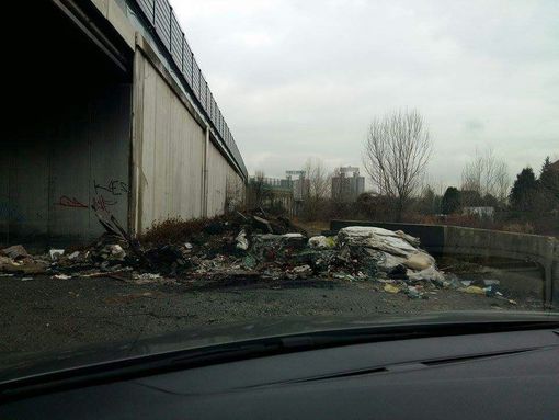 Lunedì 21 maggio pulizia straordinaria di Falchera contro il degrado