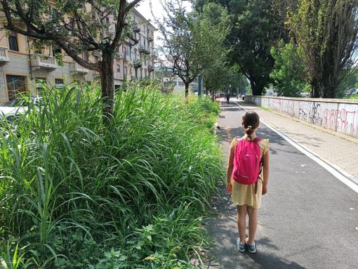 Erba alta e bambina al fianco Erba alta e bambina al fianco