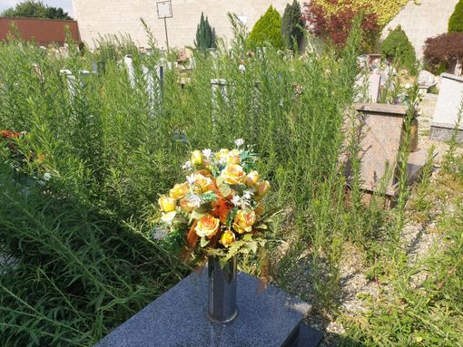 Polastri (FI): &quot;A Cavoretto lapidi abbandonate alle erbacce&quot;