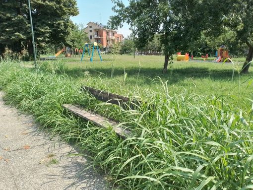 A Mirafiori l'erba dei giardini di via Plava è sempre più verde e alta A Mirafiori l'erba dei giardini di via Plava è sempre più verde e alta