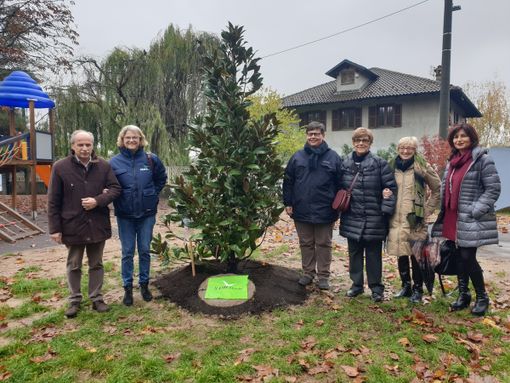 Celebrata a Chivasso la Giornata nazionale degli Alberi