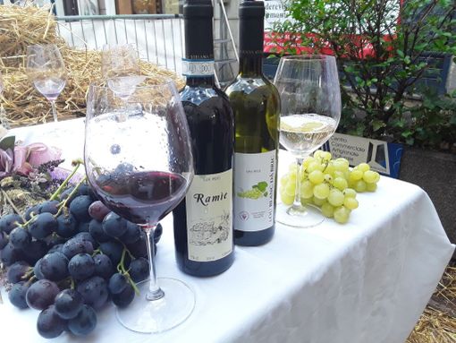 Festa dell'uva (foto d'archivio)