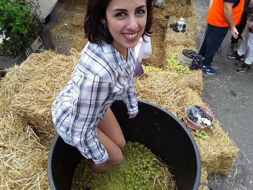 Domani a Torino la 32esima “Festa dell'uva”, ma il futuro è in bilico Domani a Torino la 32esima “Festa dell'uva”, ma il futuro è in bilico