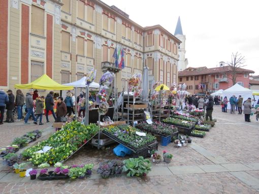 “Fera dij Còj” 2019: il cavolo protagonista a Settimo Torinese