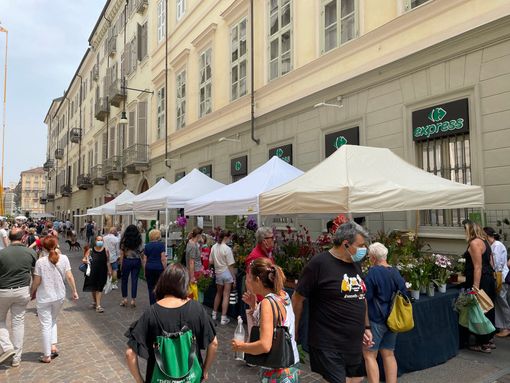 Flor in strada Flor in strada