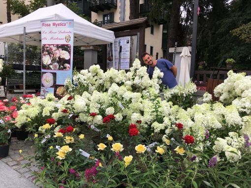 Flor Estate sale in quota: domenica 12 luglio l'evento arriva a Bardonecchia