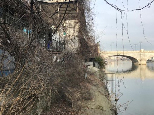 Bando ex Fluido, Grimaldi (LUV): “Affitto commerciale con massimo rialzo, nessun progetto, nessuna storia. Così si rischia di dare in mano gli spazi a chi ha solo interesse a far girare contante” Bando ex Fluido, Grimaldi (LUV): “Affitto commerciale con massimo rialzo, nessun progetto, nessuna storia. Così si rischia di dare in mano gli spazi a chi ha solo interesse a far girare contante”