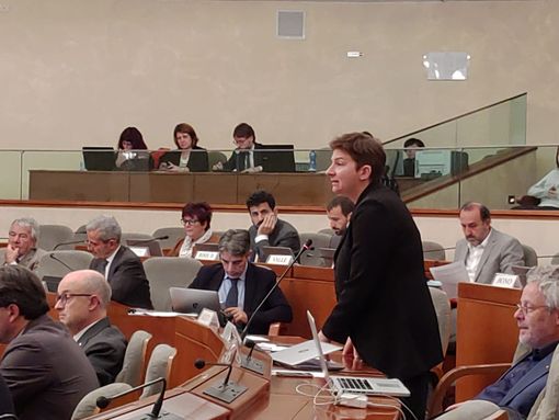 Tav, il M5S in Regione: "Pd e FI spieghino come vogliono mettere le mani in tasca ai piemontesi" Tav, il M5S in Regione: "Pd e FI spieghino come vogliono mettere le mani in tasca ai piemontesi"