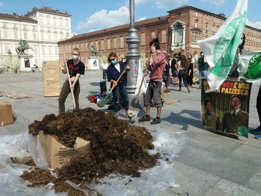 Fridays for Future Fridays for Future